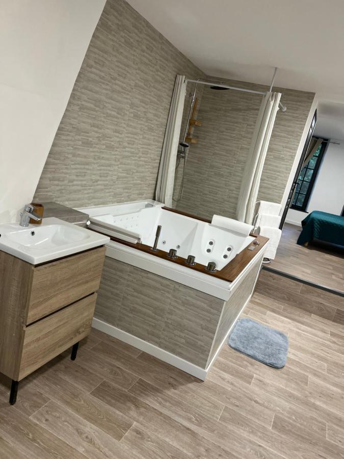 ホテル Magnifique Loft 35M2 Jacuzzi Rvb Night 1 アミアン エクステリア 写真